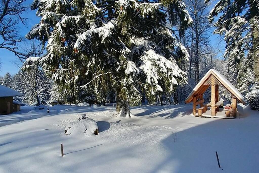 Le Petit Loup, Appartement Neuf Avec Jardin Gerbépal Eksteriør bilde